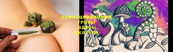 ГАЛЛЮЦИНОГЕННЫЕ ГРИБЫ Богородск