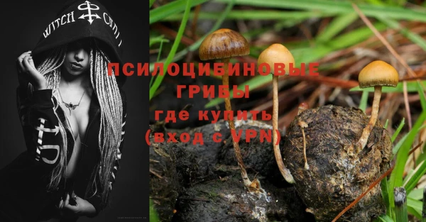 ГАЛЛЮЦИНОГЕННЫЕ ГРИБЫ Богородск