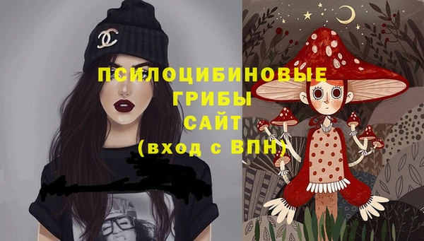 ГАЛЛЮЦИНОГЕННЫЕ ГРИБЫ Богородск