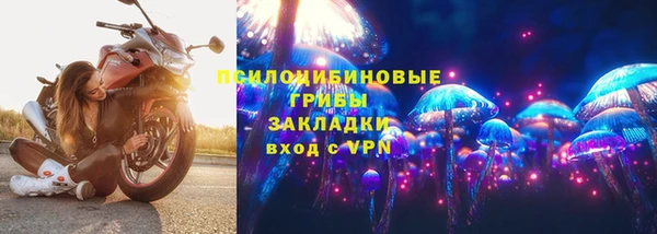 MDMA Богородицк