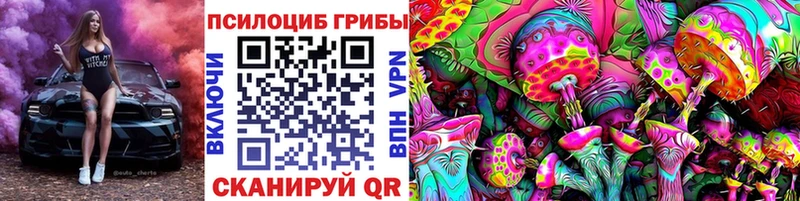 дарк нет как зайти  Разумное  Псилоцибиновые грибы MAGIC MUSHROOMS  blacksprut зеркало 