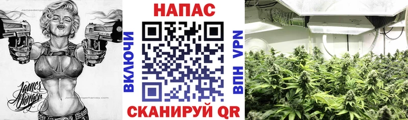 Шишки марихуана SATIVA & INDICA  купить наркотики цена  Разумное 